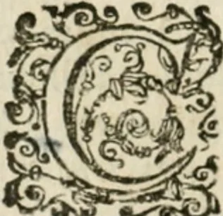 An illustration from Somme rural, ou, Le grand coustumier general de practique civil et canon, 1611, leaf 751