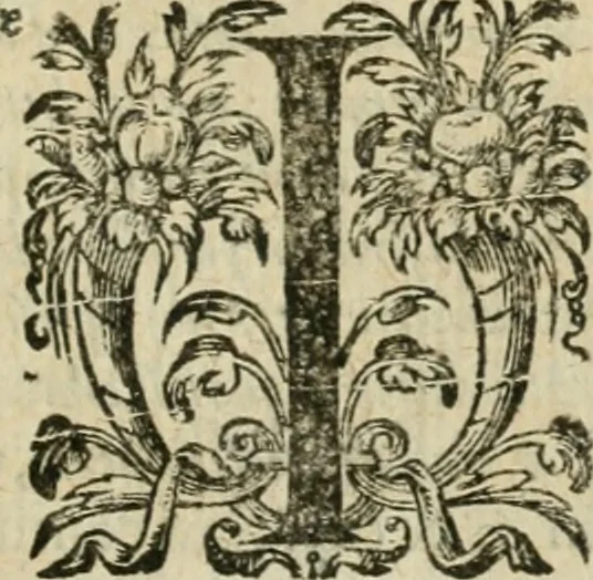 An illustration from Somme rural, ou, Le grand coustumier general de practique civil et canon, 1611, leaf 756