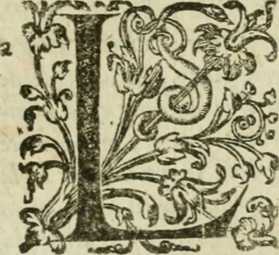 An illustration from Somme rural, ou, Le grand coustumier general de practique civil et canon, 1611, leaf 762