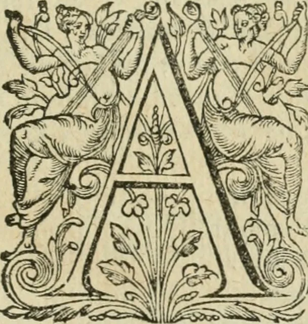 An illustration from Somme rural, ou, Le grand coustumier general de practique civil et canon, 1611, leaf 780
