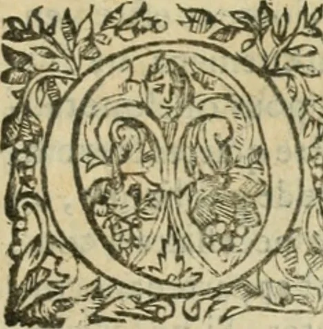 An illustration from Somme rural, ou, Le grand coustumier general de practique civil et canon, 1611, leaf 784