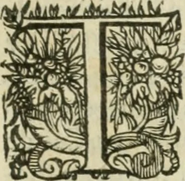 An illustration from Somme rural, ou, Le grand coustumier general de practique civil et canon, 1611, leaf 794