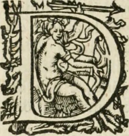 An illustration from Somme rural, ou, Le grand coustumier general de practique civil et canon, 1611, leaf 799