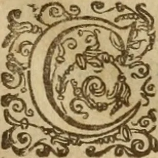 An illustration from Somme rural, ou, Le grand coustumier general de practique civil et canon, 1611, leaf 8