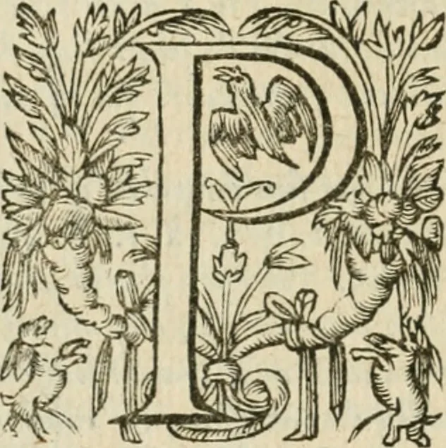 An illustration from Somme rural, ou, Le grand coustumier general de practique civil et canon, 1611, leaf 801
