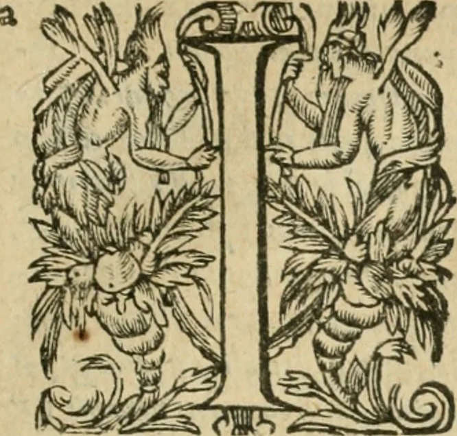 An illustration from Somme rural, ou, Le grand coustumier general de practique civil et canon, 1611, leaf 804