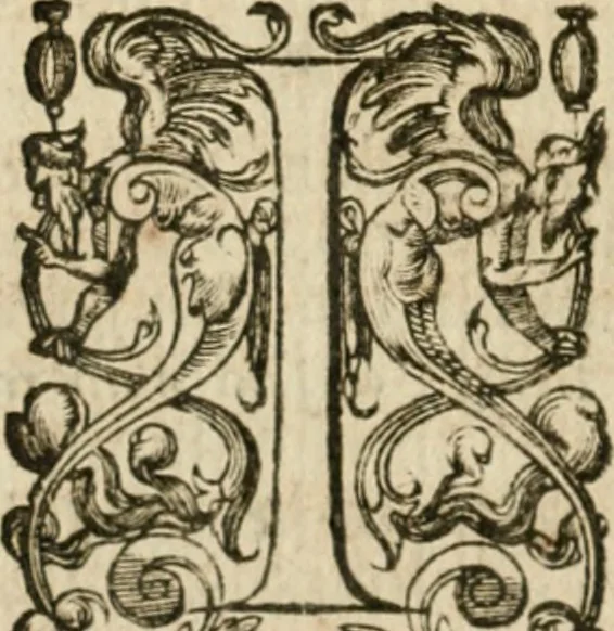 An illustration from Somme rural, ou, Le grand coustumier general de practique civil et canon, 1611, leaf 81