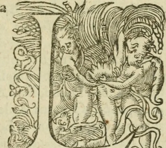 An illustration from Somme rural, ou, Le grand coustumier general de practique civil et canon, 1611, leaf 810