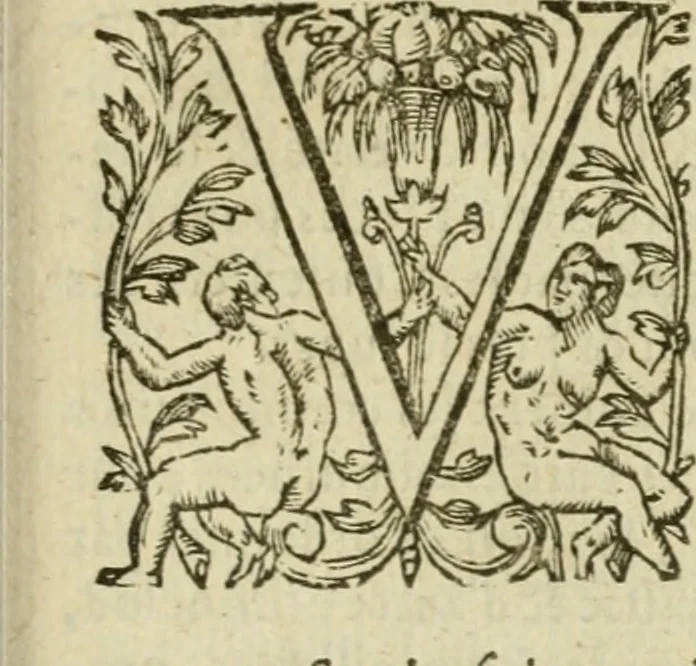 An illustration from Somme rural, ou, Le grand coustumier general de practique civil et canon, 1611, leaf 812