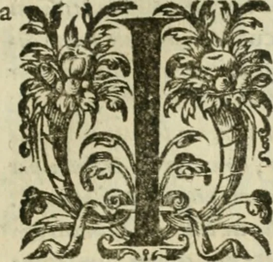 An illustration from Somme rural, ou, Le grand coustumier general de practique civil et canon, 1611, leaf 820