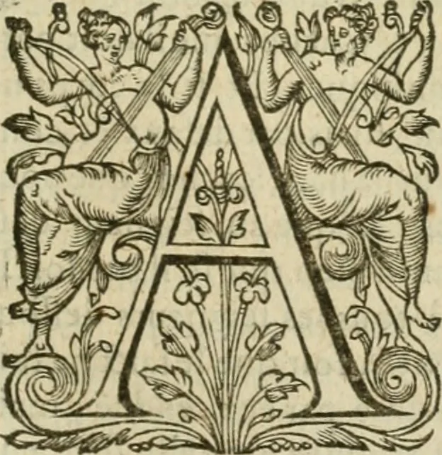 An illustration from Somme rural, ou, Le grand coustumier general de practique civil et canon, 1611, leaf 828