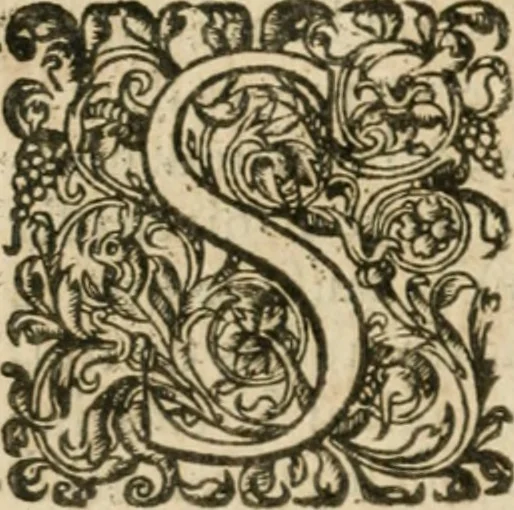 An illustration from Somme rural, ou, Le grand coustumier general de practique civil et canon, 1611, leaf 83