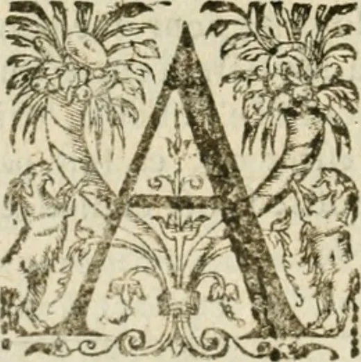 An illustration from Somme rural, ou, Le grand coustumier general de practique civil et canon, 1611, leaf 837