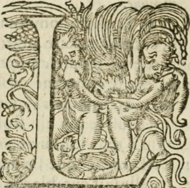 An illustration from Somme rural, ou, Le grand coustumier general de practique civil et canon, 1611, leaf 839