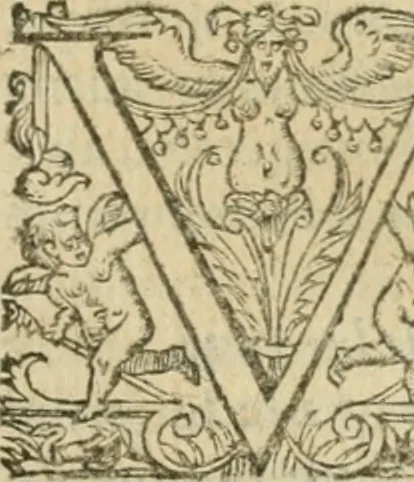 An illustration from Somme rural, ou, Le grand coustumier general de practique civil et canon, 1611, leaf 842