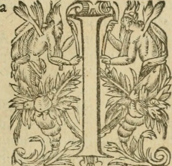 An illustration from Somme rural, ou, Le grand coustumier general de practique civil et canon, 1611, leaf 846