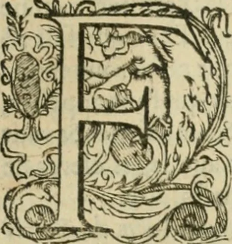An illustration from Somme rural, ou, Le grand coustumier general de practique civil et canon, 1611, leaf 848