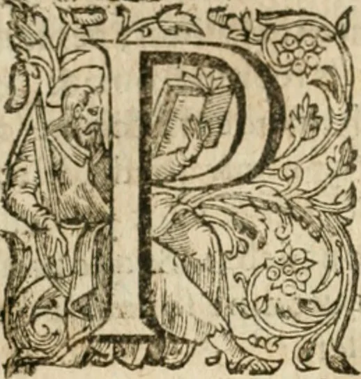 An illustration from Somme rural, ou, Le grand coustumier general de practique civil et canon, 1611, leaf 85