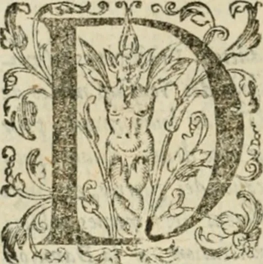 An illustration from Somme rural, ou, Le grand coustumier general de practique civil et canon, 1611, leaf 855