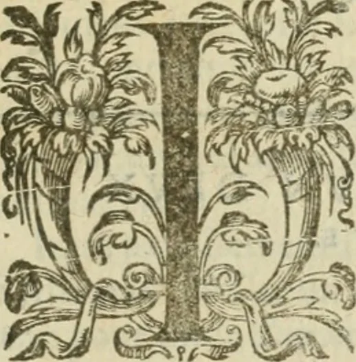 An illustration from Somme rural, ou, Le grand coustumier general de practique civil et canon, 1611, leaf 856