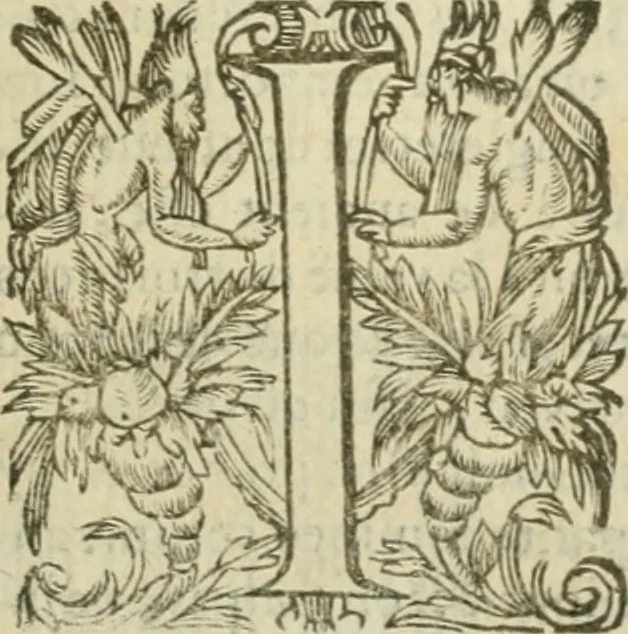 An illustration from Somme rural, ou, Le grand coustumier general de practique civil et canon, 1611, leaf 860