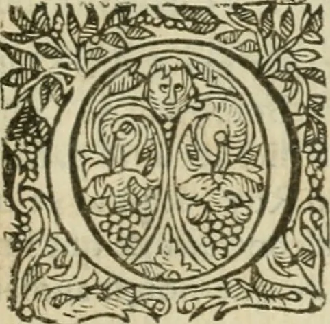 An illustration from Somme rural, ou, Le grand coustumier general de practique civil et canon, 1611, leaf 862