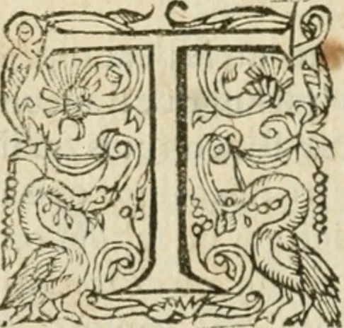 An illustration from Somme rural, ou, Le grand coustumier general de practique civil et canon, 1611, leaf 875