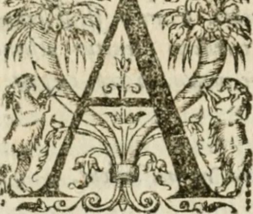 An illustration from Somme rural, ou, Le grand coustumier general de practique civil et canon, 1611, leaf 883