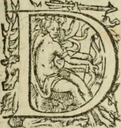 An illustration from Somme rural, ou, Le grand coustumier general de practique civil et canon, 1611, leaf 886