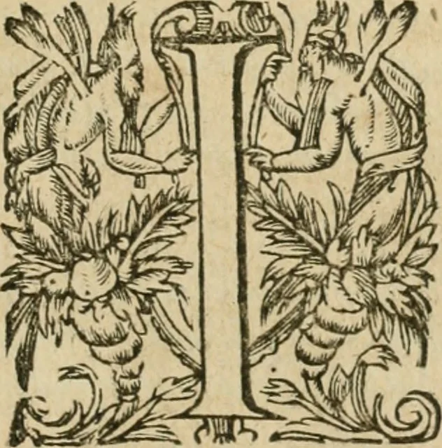 An illustration from Somme rural, ou, Le grand coustumier general de practique civil et canon, 1611, leaf 888