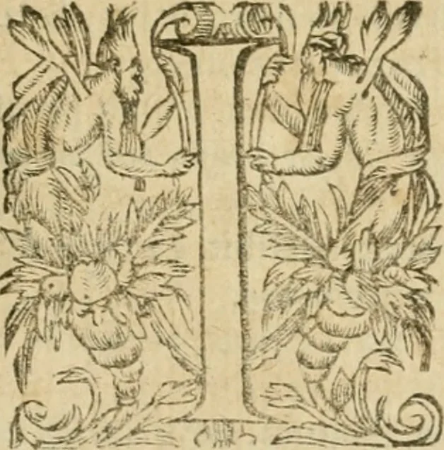 An illustration from Somme rural, ou, Le grand coustumier general de practique civil et canon, 1611, leaf 890