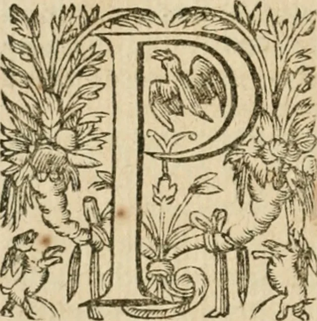 An illustration from Somme rural, ou, Le grand coustumier general de practique civil et canon, 1611, leaf 891