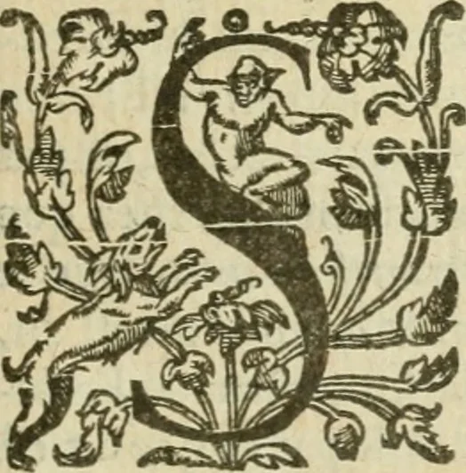 An illustration from Somme rural, ou, Le grand coustumier general de practique civil et canon, 1611, leaf 902