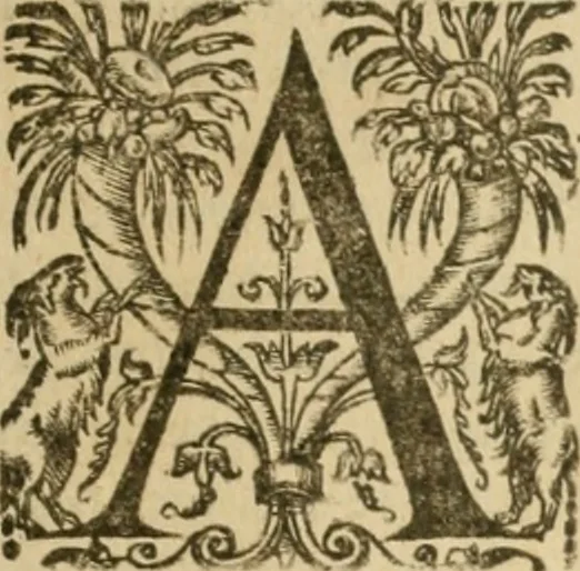 An illustration from Somme rural, ou, Le grand coustumier general de practique civil et canon, 1611, leaf 934