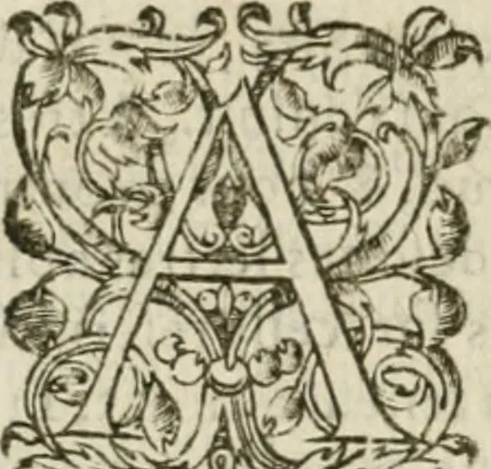 An illustration from Somme rural, ou, Le grand coustumier general de practique civil et canon, 1611, leaf 945