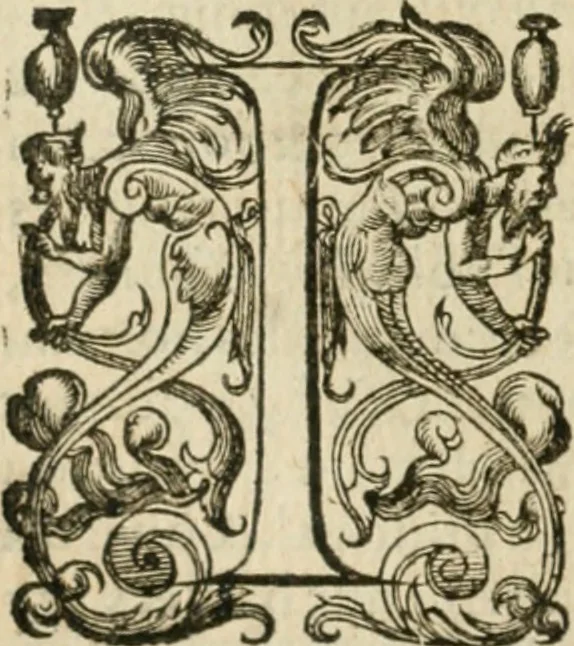 An illustration from Somme rural, ou, Le grand coustumier general de practique civil et canon, 1611, leaf 99