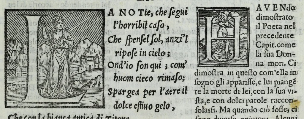 An illustration from Sonetti, canzoni e triomphi, 1549, leaf 459