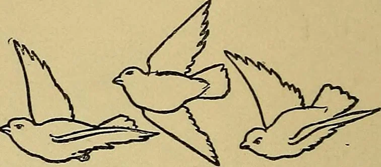 An illustration from The songs and music of Friedrich Froebel's Mother play (Mutter und kose Lieder), 1895, leaf 173