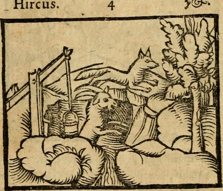 An illustration from Æsopi Phrygis Fabulae graece et latine, cum aliis quibusdam opusculis : quorum indicem sequens pagella indicabit, 1616, leaf 143