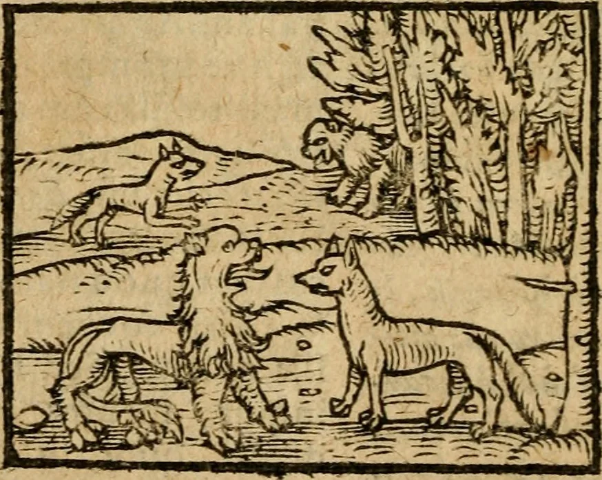 An illustration from Æsopi Phrygis Fabulae graece et latine, cum aliis quibusdam opusculis : quorum indicem sequens pagella indicabit, 1616, leaf 145
