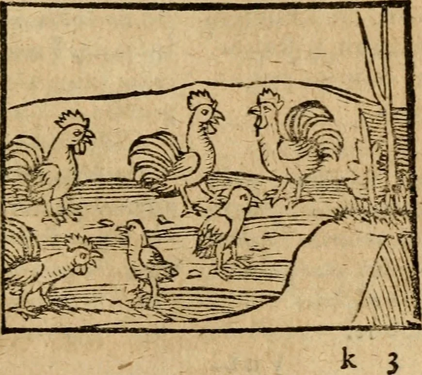 An illustration from Æsopi Phrygis Fabulae graece et latine, cum aliis quibusdam opusculis : quorum indicem sequens pagella indicabit, 1616, leaf 152