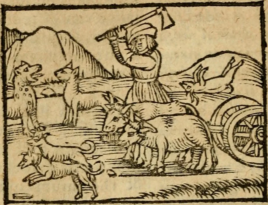 An illustration from Æsopi Phrygis Fabulae graece et latine, cum aliis quibusdam opusculis : quorum indicem sequens pagella indicabit, 1616, leaf 169