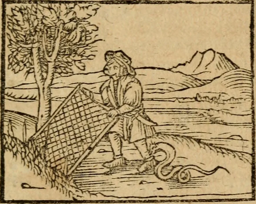 An illustration from Æsopi Phrygis Fabulae graece et latine, cum aliis quibusdam opusculis : quorum indicem sequens pagella indicabit, 1616, leaf 182