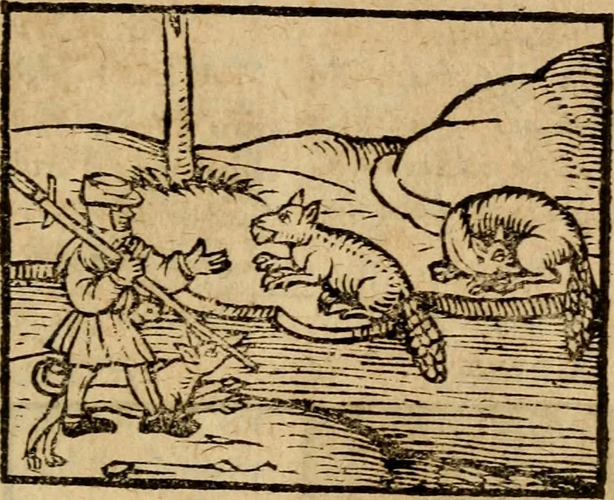 An illustration from Æsopi Phrygis Fabulae graece et latine, cum aliis quibusdam opusculis : quorum indicem sequens pagella indicabit, 1616, leaf 184