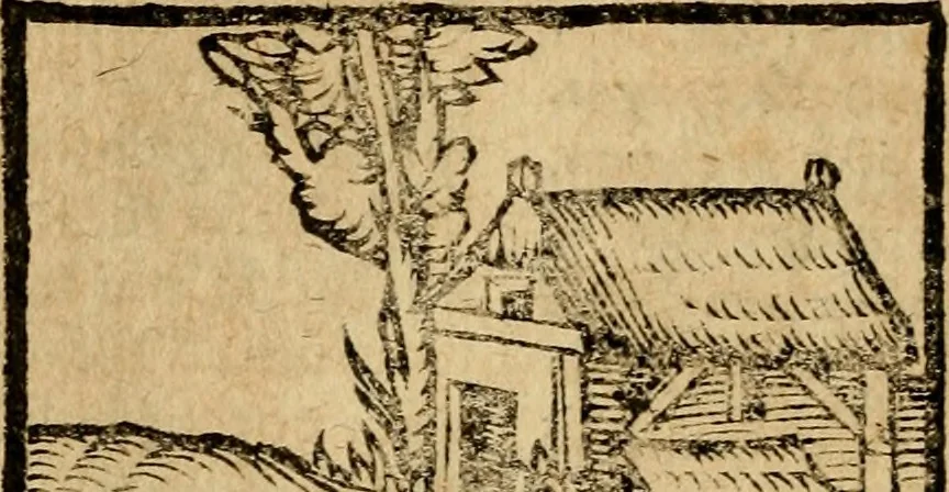 An illustration from Æsopi Phrygis Fabulae graece et latine, cum aliis quibusdam opusculis : quorum indicem sequens pagella indicabit, 1616, leaf 187