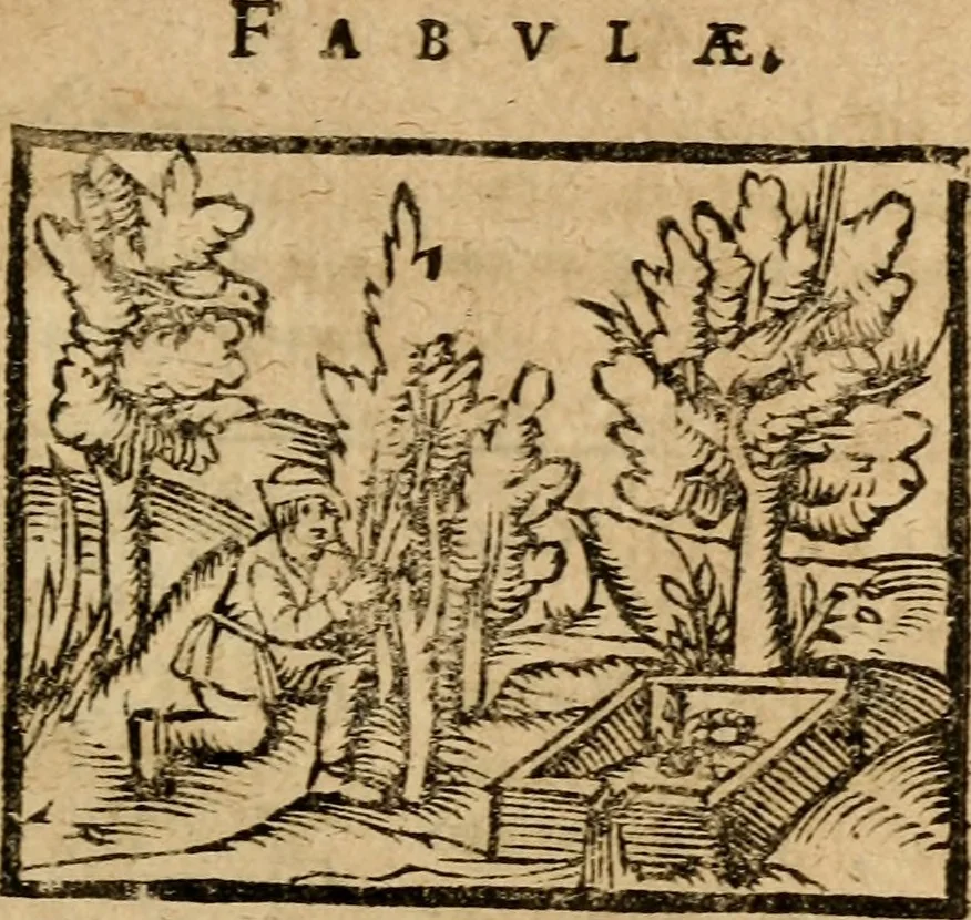 An illustration from Æsopi Phrygis Fabulae graece et latine, cum aliis quibusdam opusculis : quorum indicem sequens pagella indicabit, 1616, leaf 196