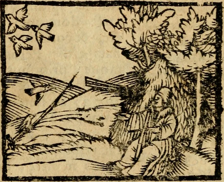 An illustration from Æsopi Phrygis Fabulae graece et latine, cum aliis quibusdam opusculis : quorum indicem sequens pagella indicabit, 1616, leaf 205