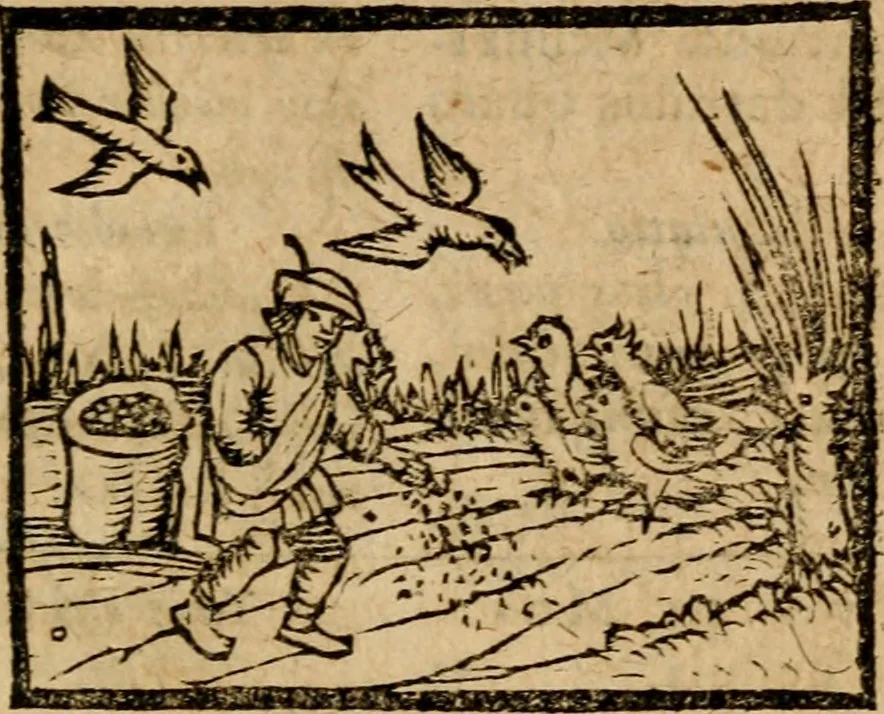 An illustration from Æsopi Phrygis Fabulae graece et latine, cum aliis quibusdam opusculis : quorum indicem sequens pagella indicabit, 1616, leaf 214