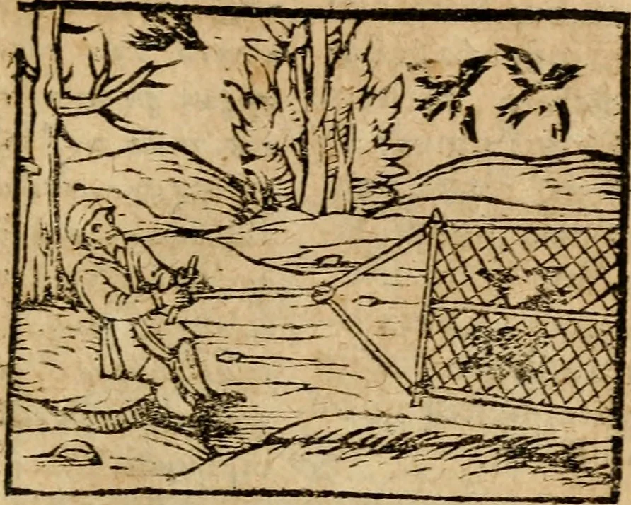 An illustration from Æsopi Phrygis Fabulae graece et latine, cum aliis quibusdam opusculis : quorum indicem sequens pagella indicabit, 1616, leaf 218