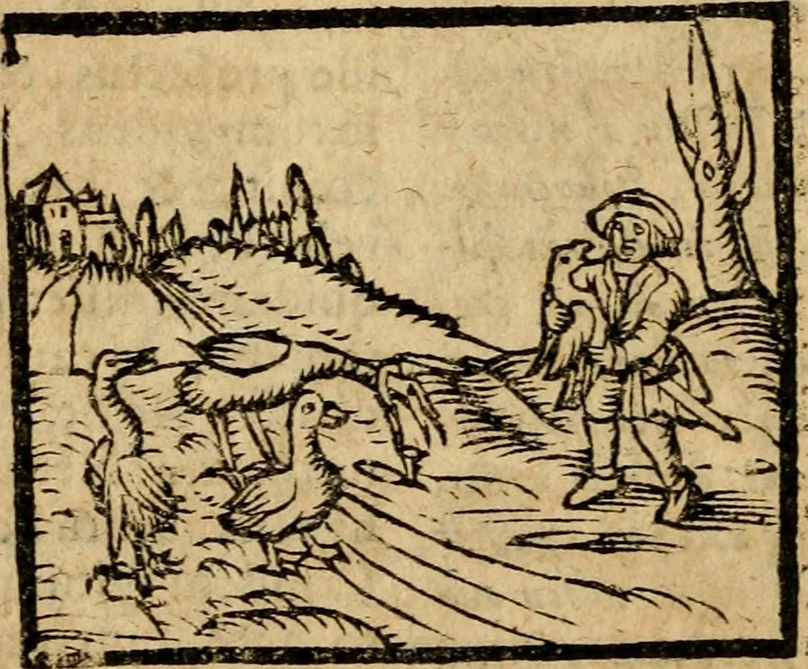 An illustration from Æsopi Phrygis Fabulae graece et latine, cum aliis quibusdam opusculis : quorum indicem sequens pagella indicabit, 1616, leaf 225